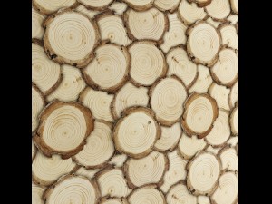 art wall of wooden rings 3D Model