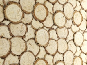 art wall of wooden rings 3D Model