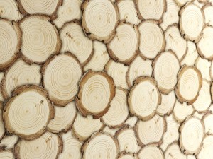 art wall of wooden rings 3D Model