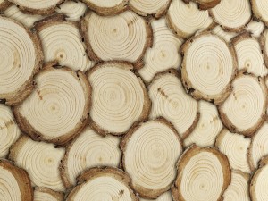 art wall of wooden rings 3D Model