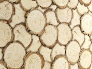 art wall of wooden rings 3D Model