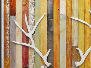 deer lodge renwil Modelo 3D
