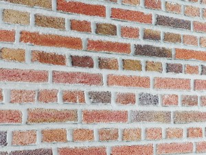 bricks wall 3d 3D Model