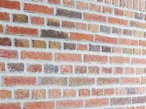 bricks wall 3d 3D Model