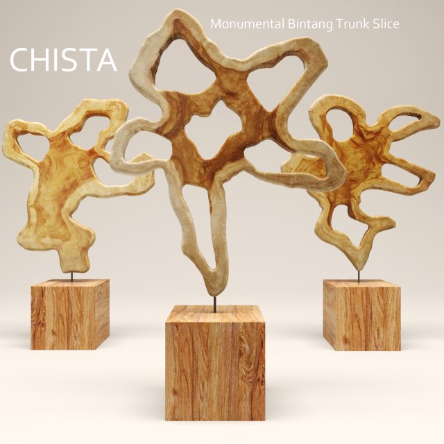 chista monumental trunk slice Model 3D .c4d .max .obj .3ds .fbx .stl .blend 