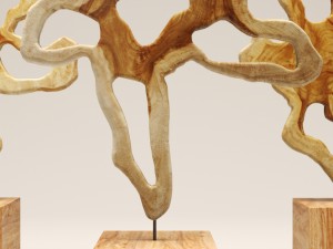 chista monumental trunk slice Model 3D