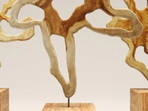 chista monumental trunk slice 3D Model