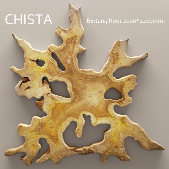 chista bintang root 3D Model .c4d .max .obj .3ds .fbx .stl .blend 