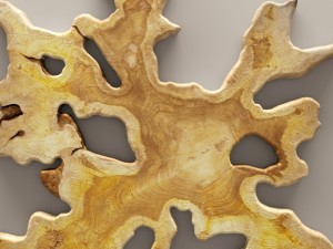 chista bintang root 3D Model