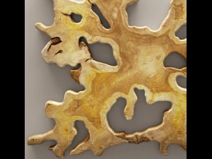 chista bintang root 3D Model