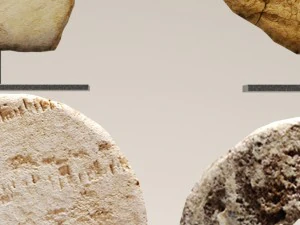 chista old stone 3D Model