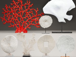 coral set Model 3D