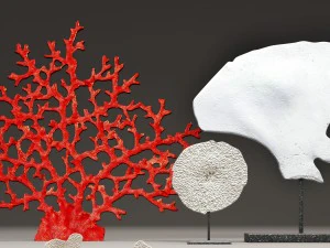 insieme di corallo Modello 3D