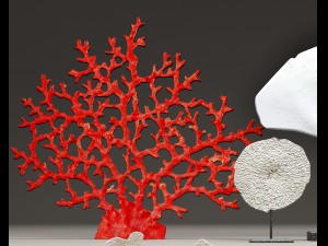 coral set Modello 3D