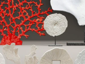 insieme di corallo Modello 3D