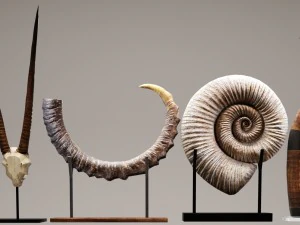 set of statues and sculptures 3D Model