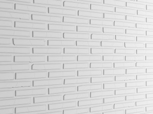 white bricks 3D Модель