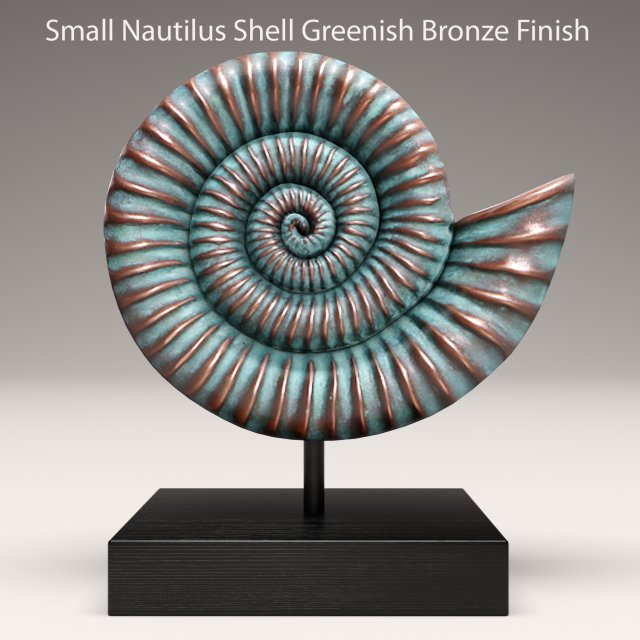 ammonite shell 3D Model .c4d .max .obj .3ds .fbx .stl .blend 