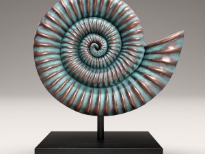 ammonite shell 3D Model
