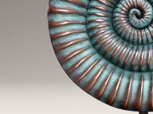 ammonite shell 3D Model
