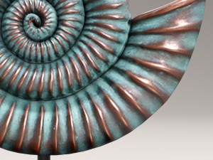 ammonite shell 3D Model