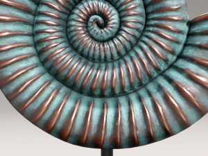 ammonite shell 3D Model