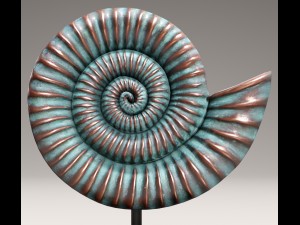 ammonite shell 3D Model