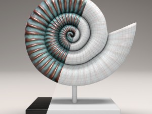 ammonite shell 3D Model