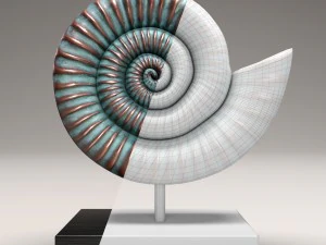 ammonite shell 3D Model