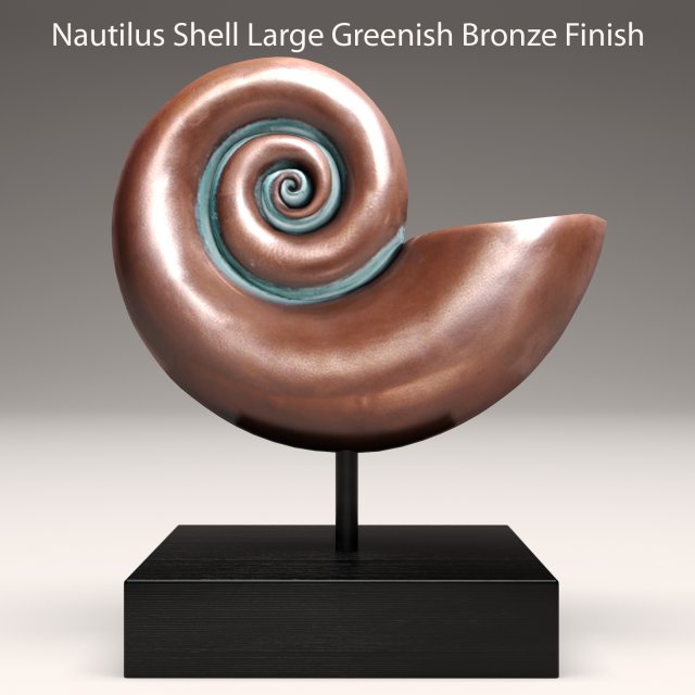 ammonite shell 3D Model .c4d .max .obj .3ds .fbx .stl .blend 