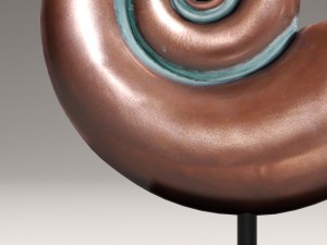 ammonite shell 3D Model
