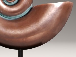 ammonite shell 3D Model