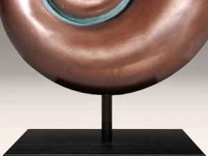 ammonite shell 3D Model