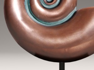 ammonite shell 3D Model