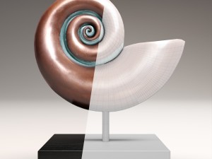 ammonite shell 3D Model