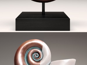 ammonite shell 3D Model