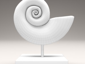 ammonite shell 3D Model