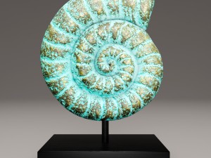 ammonite shell Modelo 3D