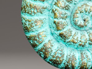 ammonite shell 3D Model