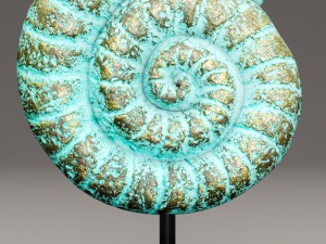 ammonite shell 3D Model