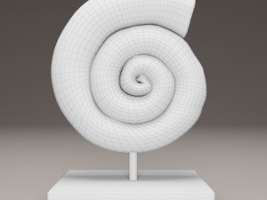 ammonite shell 3D Model