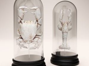 lobster crab collection 3D Model