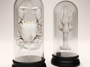 raccolta di granchi di aragosta Modello 3D