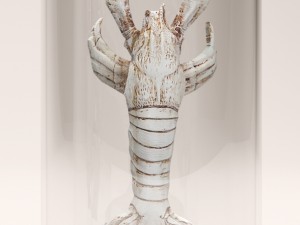 lobster crab collection Modello 3D