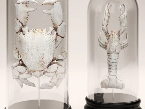 lobster crab collection 3D Model
