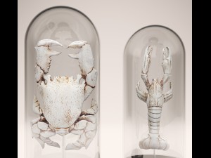 lobster crab collection Modello 3D