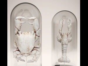 lobster crab collection 3D Model