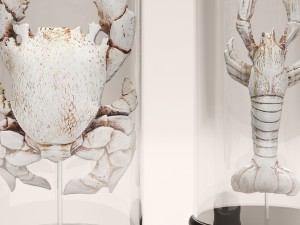 lobster crab collection Modello 3D