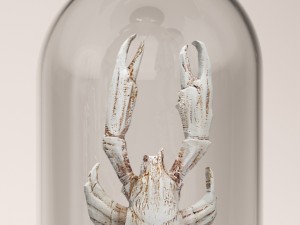 lobster crab collection Modello 3D