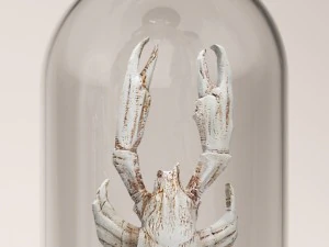 lobster crab collection 3D Model